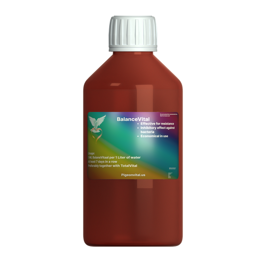 BalansVitaal (50% Korting)